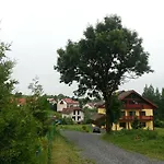 Gold Nová Lesná